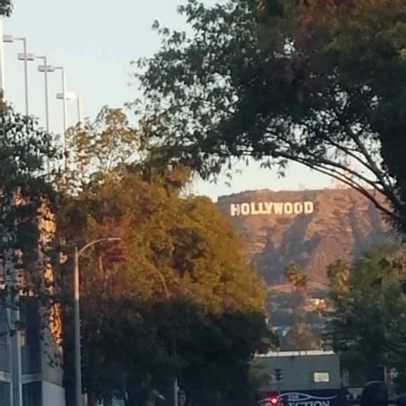 Meet your Posher, Ann - Picture 3 of 8